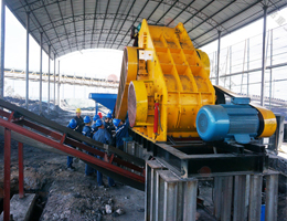 湿料粉碎机生产现场